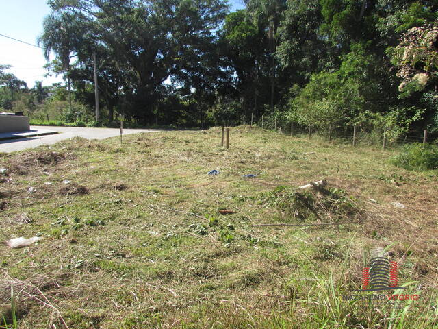 Terreno para Venda em São José - 4